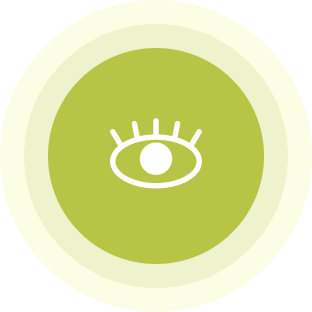 Vision icon