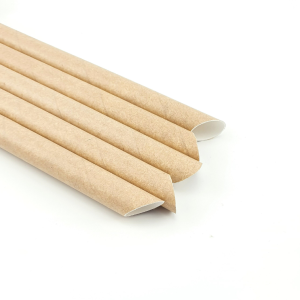 Takeaway Wheat Pulp with Lid